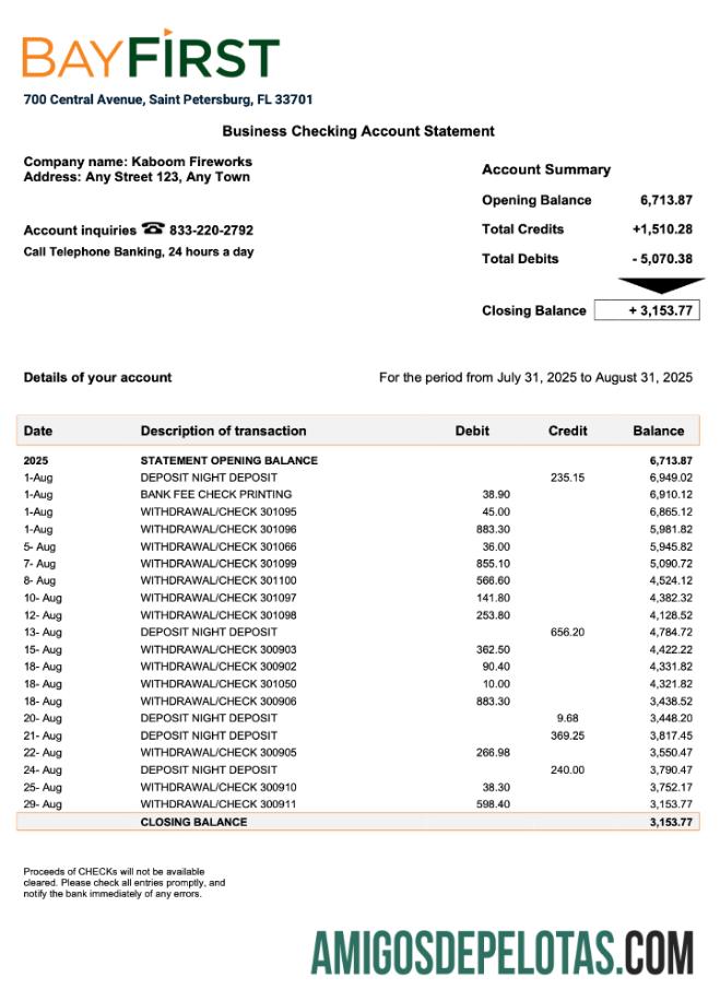 Realista USA Bay First Organization Statement Modelo Word e PDF